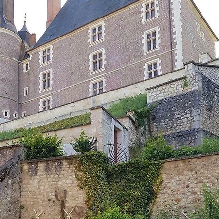 Charmant Appartement Au Pied Du Chateau Gien Esterno foto