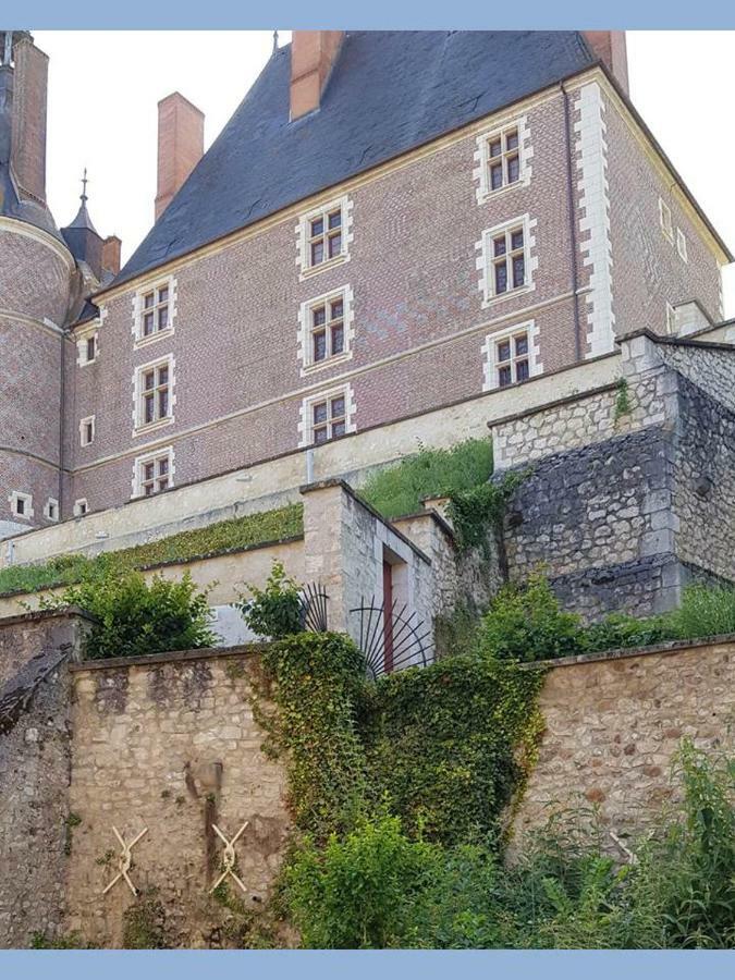 Charmant Appartement Au Pied Du Chateau Gien Esterno foto
